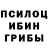 Псилоцибиновые грибы Psilocybine cubensis Mary Pestereva
