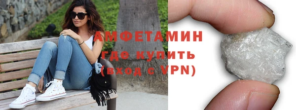 соль ск Дмитриев