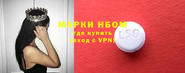 соль ск Дмитриев