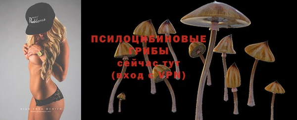 соль ск Дмитриев