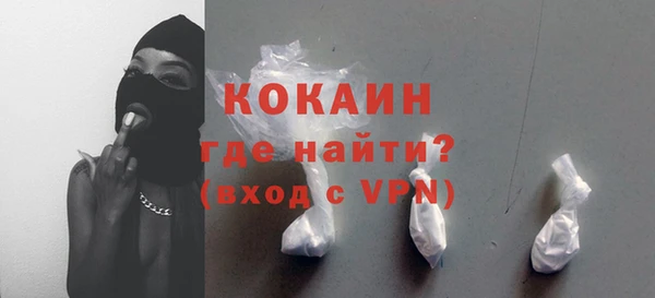 дмт Гусев