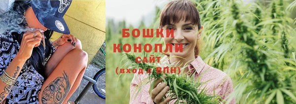 соль ск Дмитриев