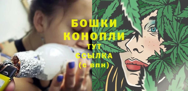 соль ск Дмитриев