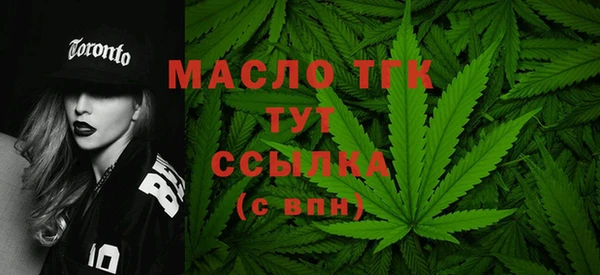 дмт Гусев